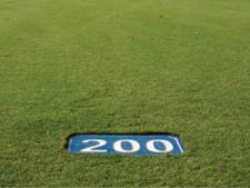 Flat markers (numbered)