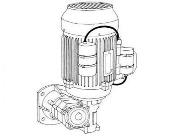 Replacement motor<br>for Vink golf ball washer
