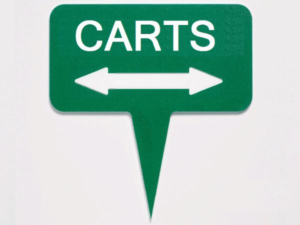 Green line Single-sided 13x25cm<br>CARTS (with double arrow)