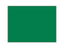 Practice green flag Ø 1.3 cm rod&amp;lt;br&amp;gt;Green - Large tube (1 pc)