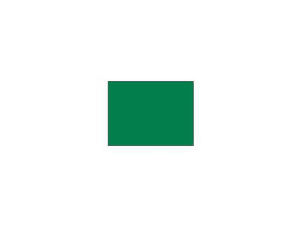Practice green flag Ø 1.3 cm rod<br>Green - Large tube (1 pc)