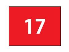 Putting green flag with small tube&amp;lt;br&amp;gt;red/white No. 17 (single flag)